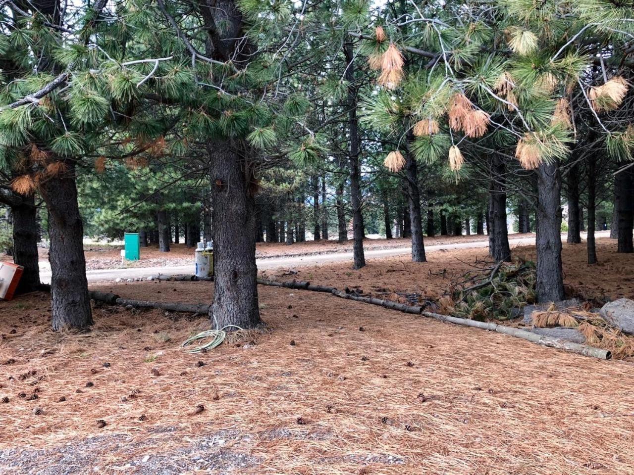Chale In Chapelco Golf